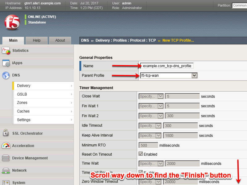 ../../_images/dns_profile_tcp.png
