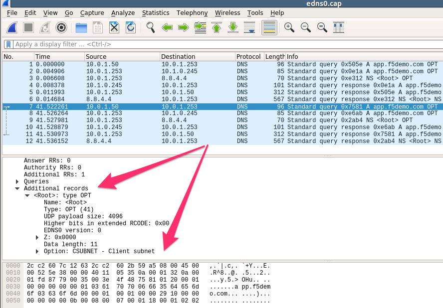 ../../_images/wireshark_edns0.png