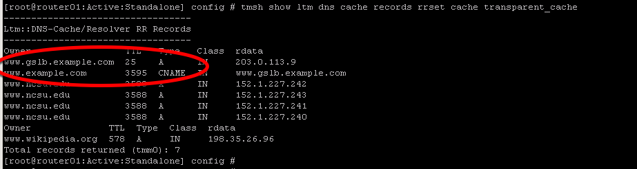 ../../_images/tmsh_show_ltm_dns_cache_records.png